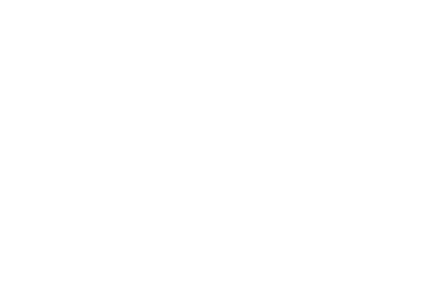 2D Computer