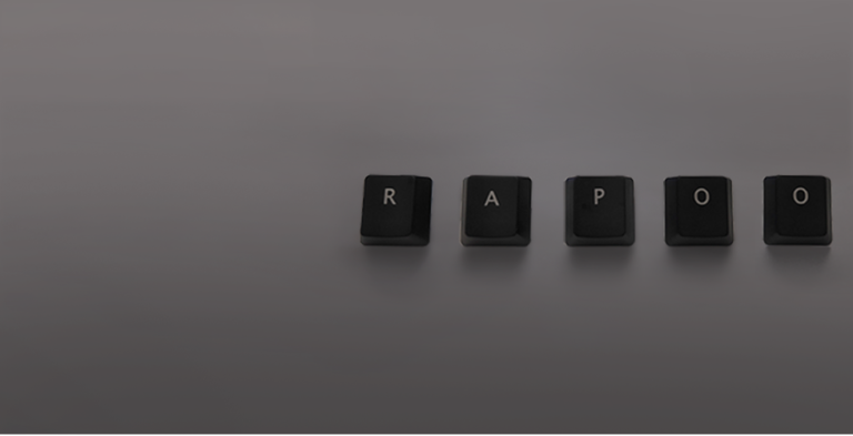 Rapoo X125SE